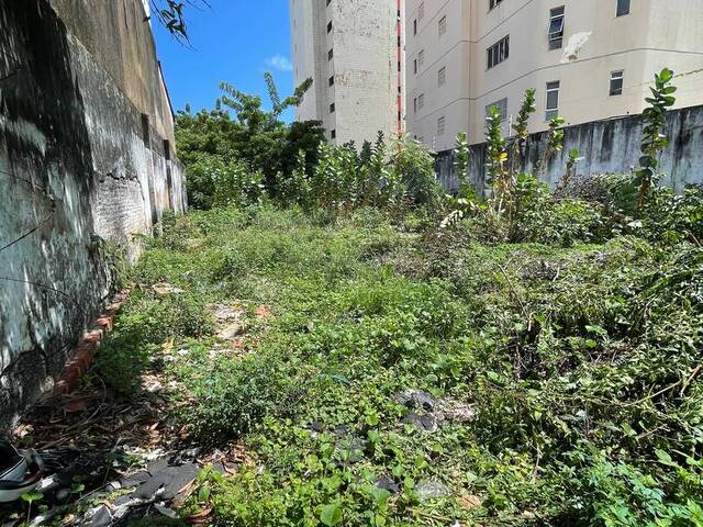 #1274 - Área para Venda em Fortaleza - CE - 3